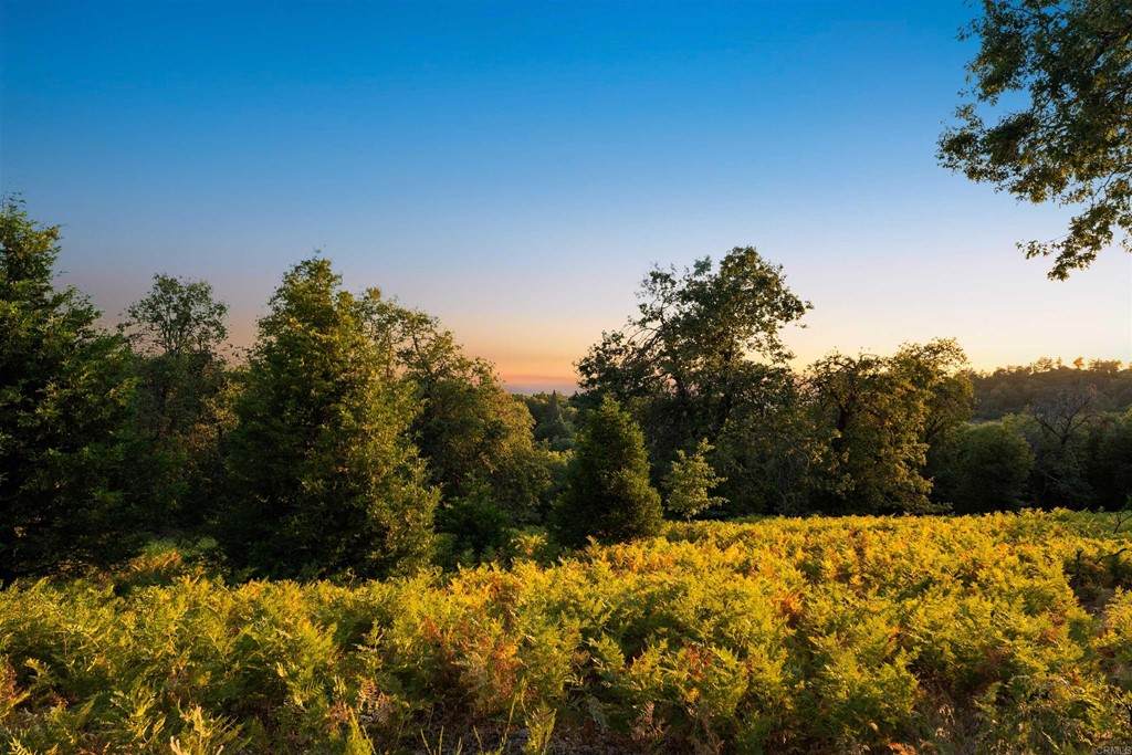 9 Acres Fern Meadow Road - Photo 1