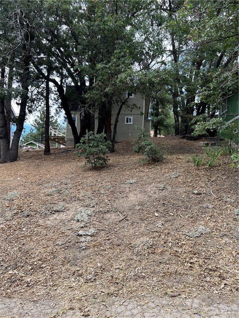 0 Blue Bird Ln - Photo 1