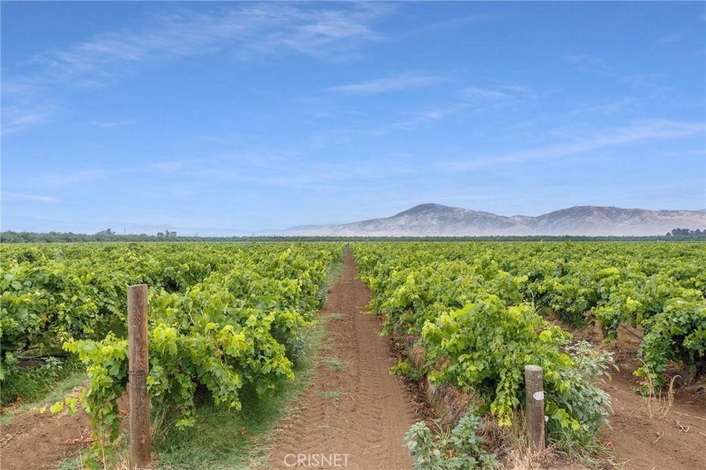 0 Buena Vista - Photo 1