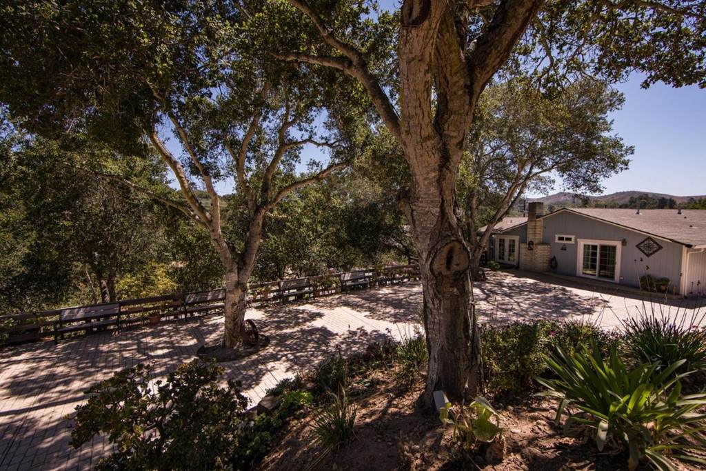 6218 Echo Valley Court - Photo 1