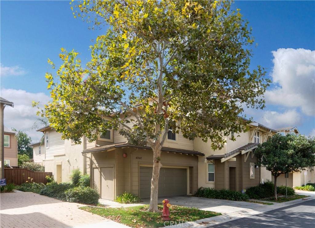 41542 Wild Ivy Avenue - Photo 1