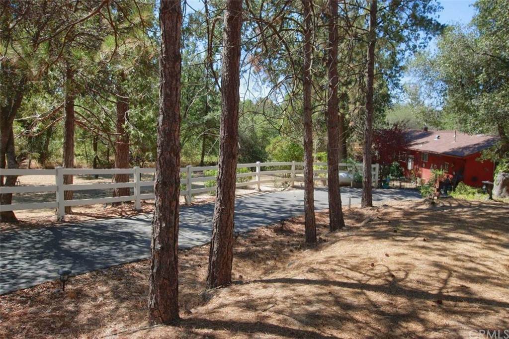 34726 Road 221 - Photo 1