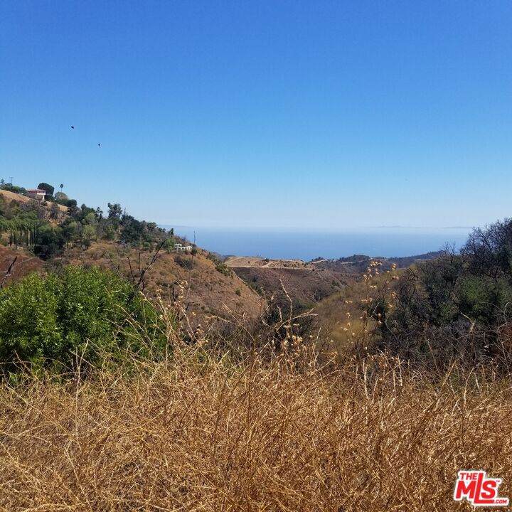 29162 Upper Ramirez Motor Way - Photo 1