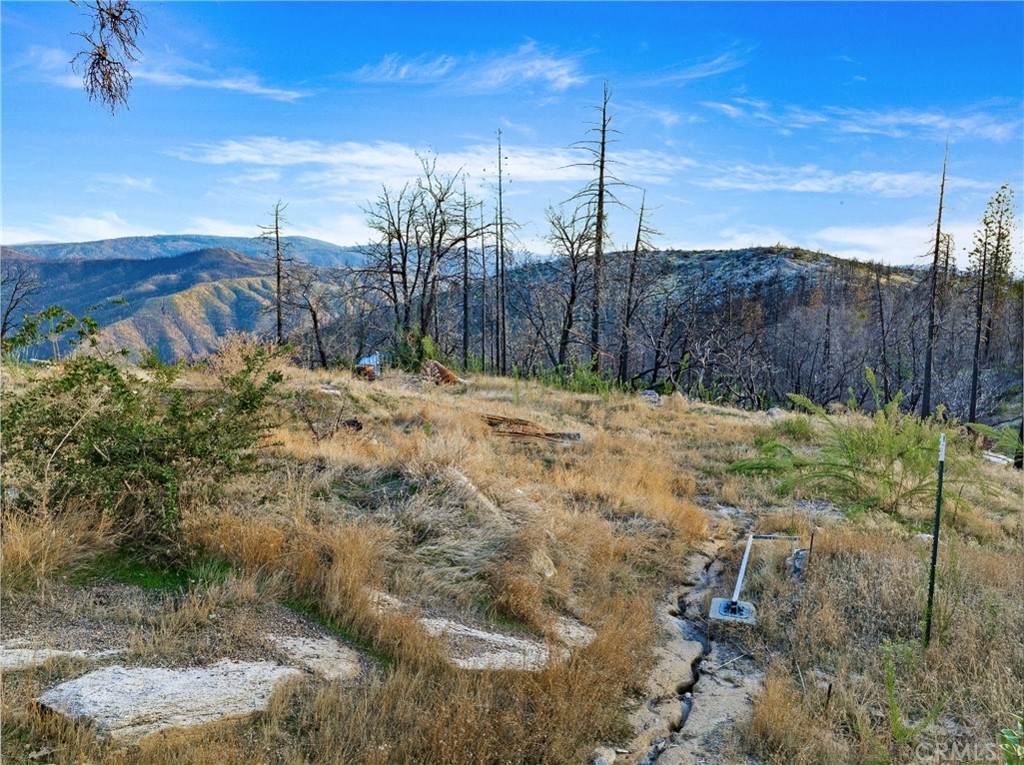 0 Tipsoo Peak Road - Photo 1