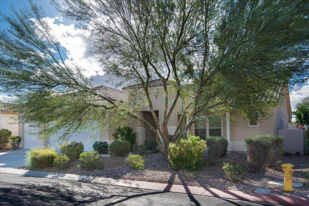 80421 Camino Santa Elise - Photo 1