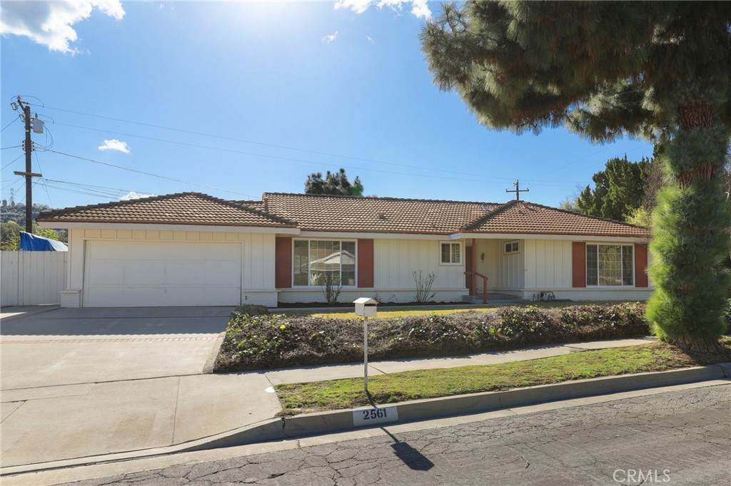 2561 Fidelidad Drive - Photo 1
