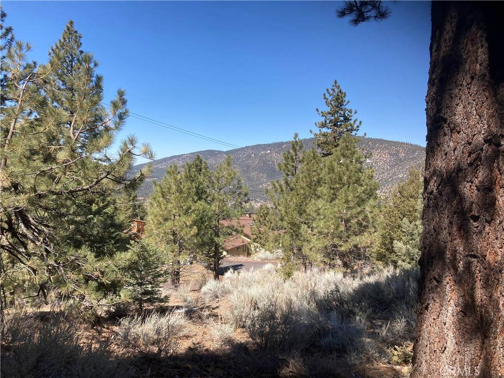 15125 Chestnut Drive - Photo 1