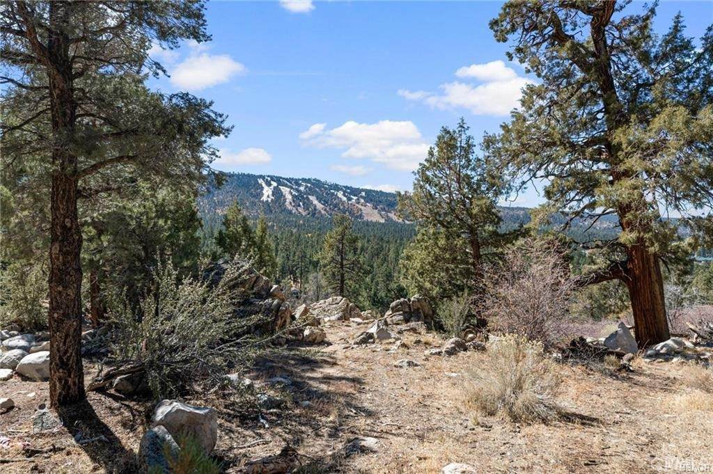42565 Pegasus Way - Photo 1