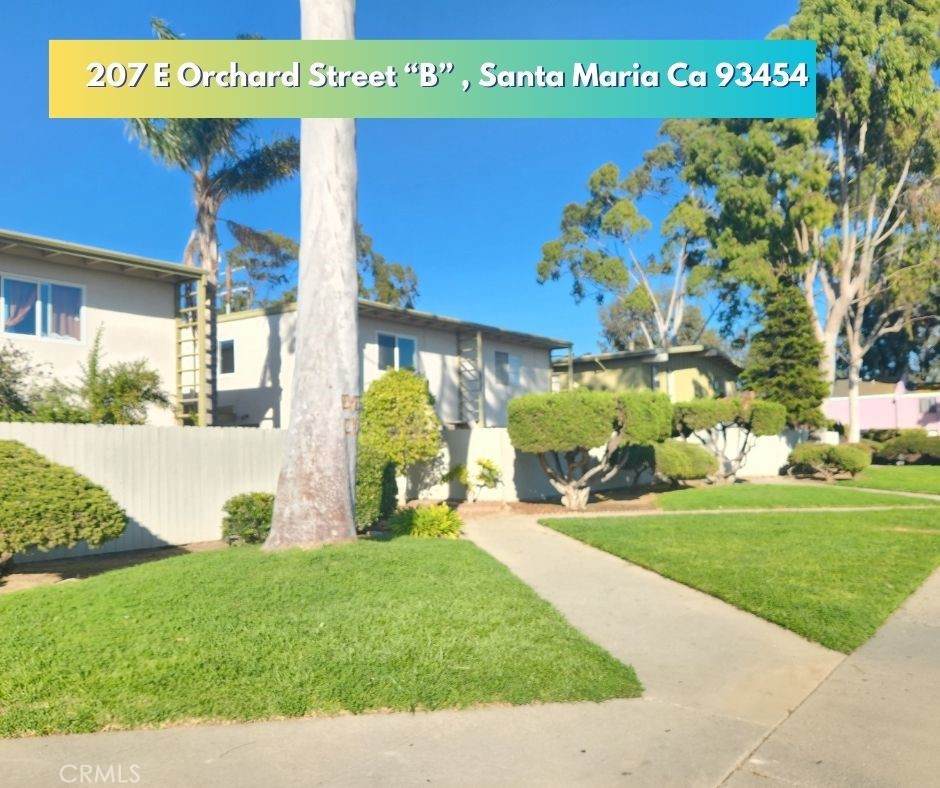 207 Orchard Street - Photo 1