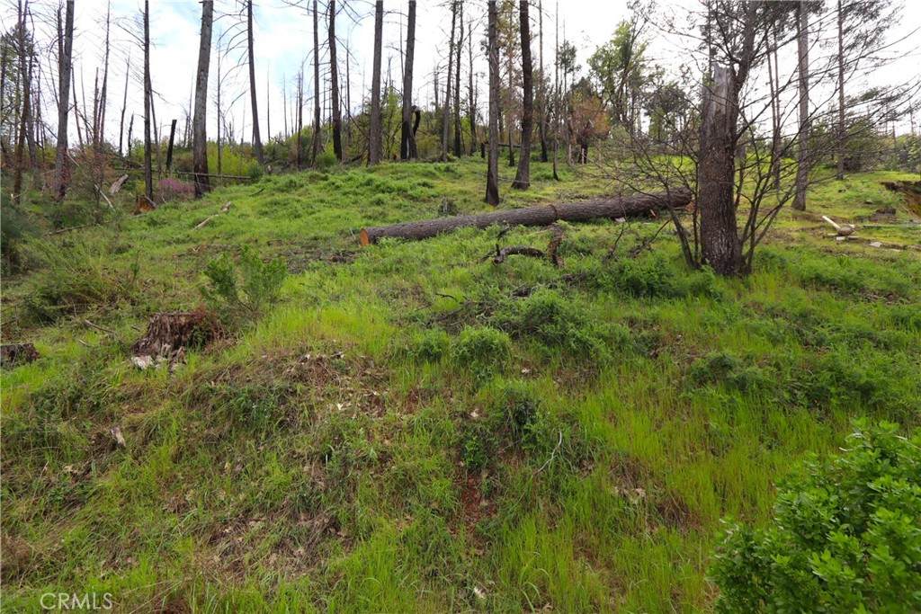 11541 Anderson Springs Road - Photo 1