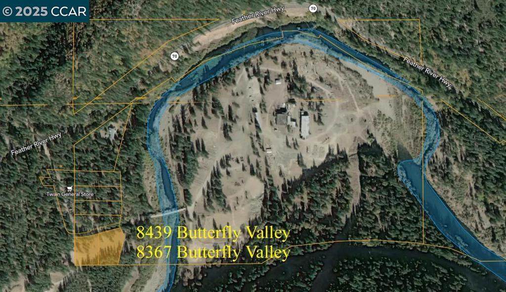 8439 Butterfly Valley-Twain Rd - Photo 1