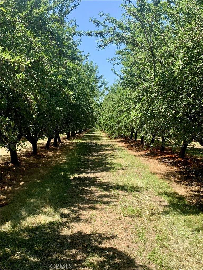 10351 Avenue 112 - Photo 1