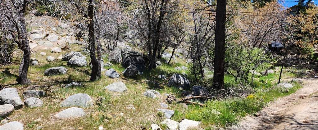 0 Deer Lane - Photo 1