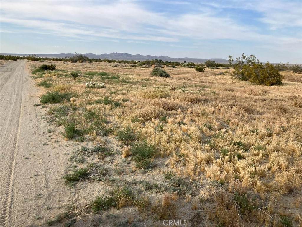0 Pico Rd - Photo 1