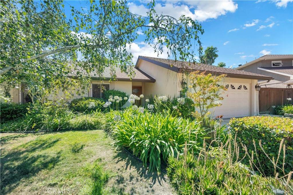 25221 Calle Becerra - Photo 1