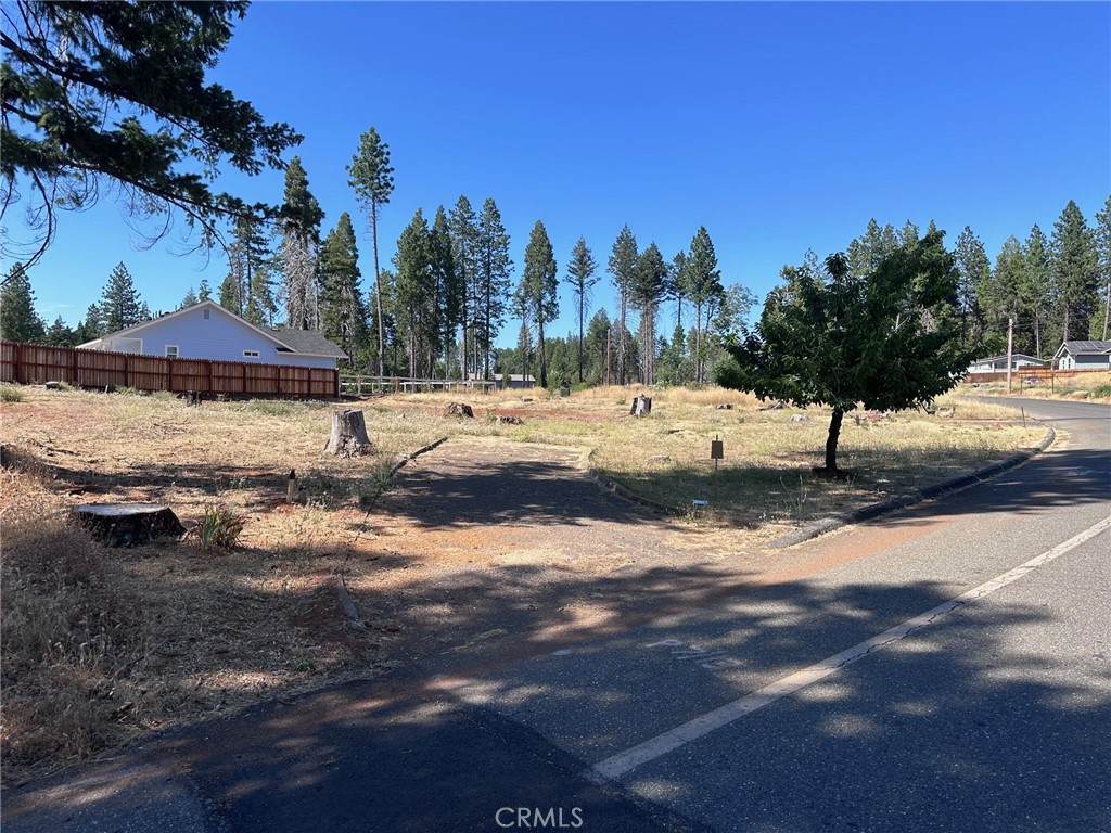 13789 Park Drive - Photo 1
