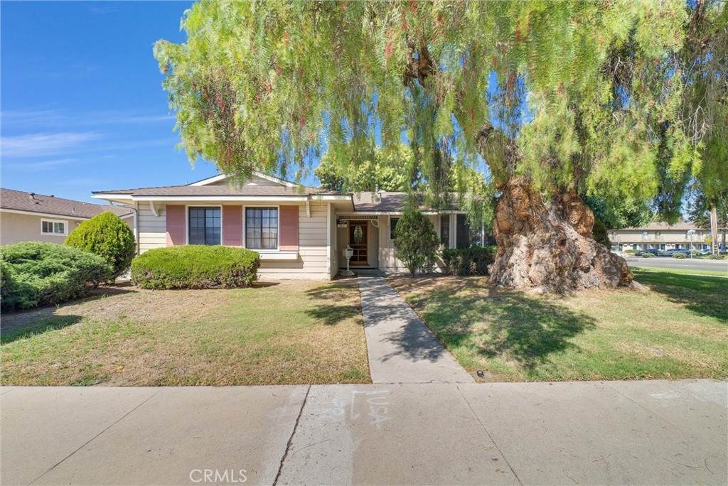 8001 Holder Street - Photo 1