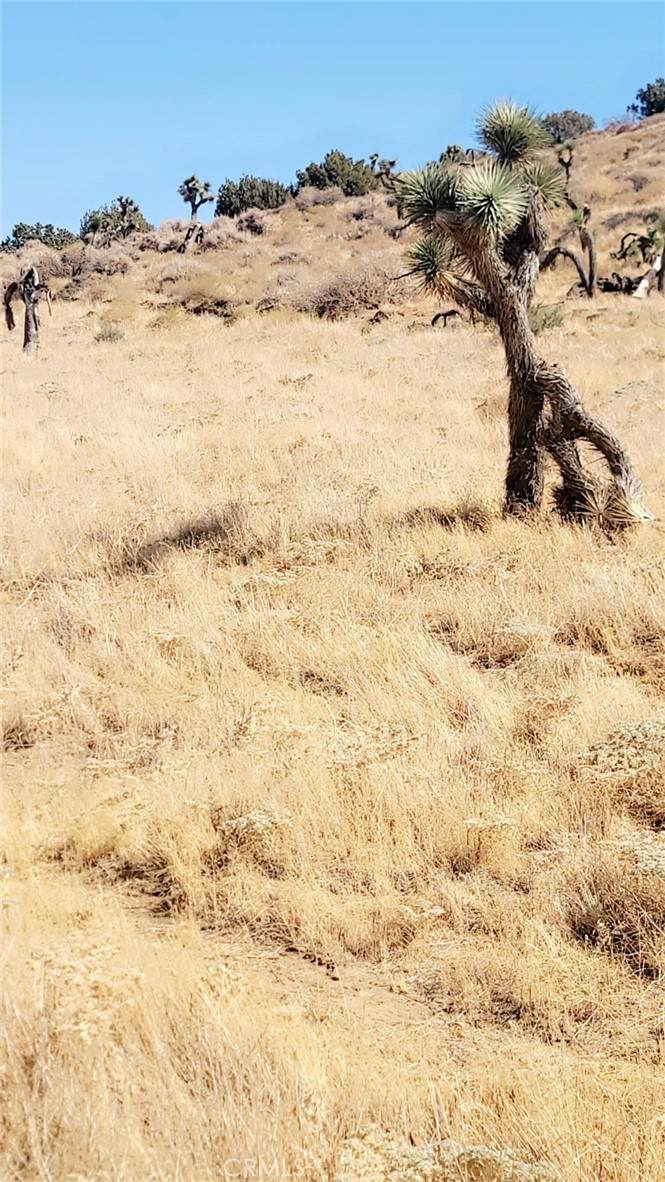 0 40th Street - Photo 1