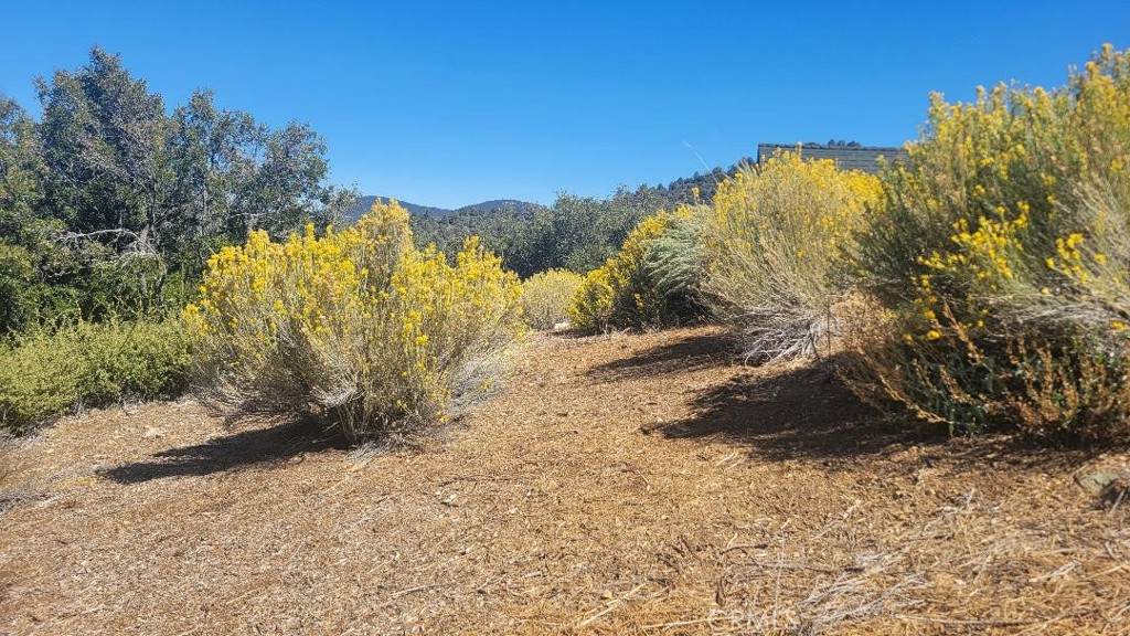 1806 Zermatt - Photo 1