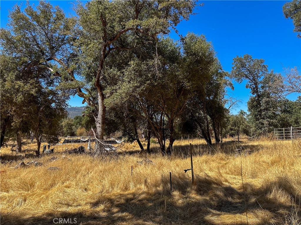 39260 John West Road - Photo 1