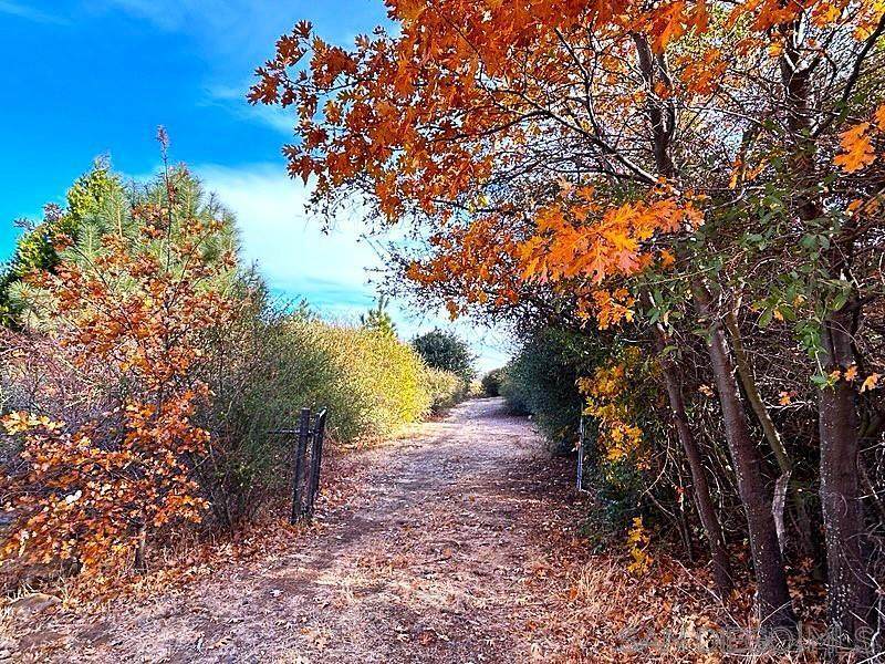 0 Birdsell Lane - Photo 1