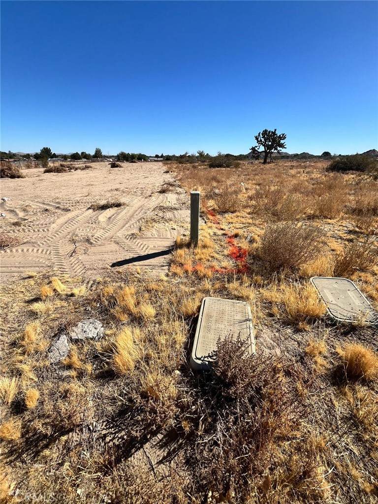 0 Avenue N12 - Photo 1