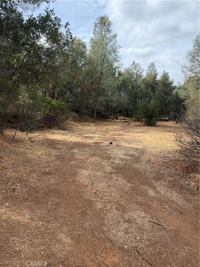 3475 Garfield Avenue - Photo 1