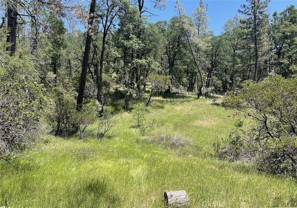 9660 Harrington Flat Road - Photo 1