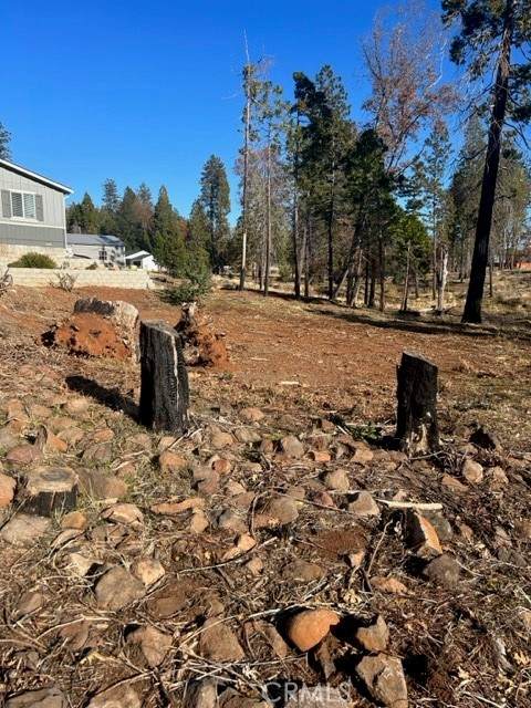 6268 Pueblo Drive - Photo 1