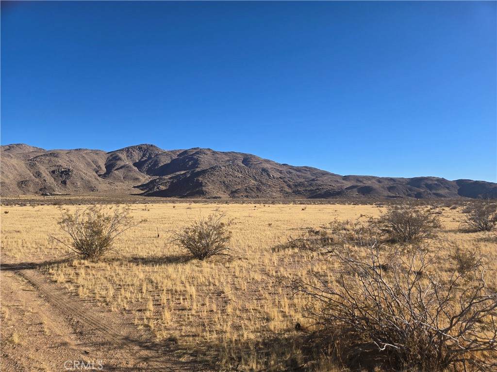 108900 SF Bellflower Street - Photo 1