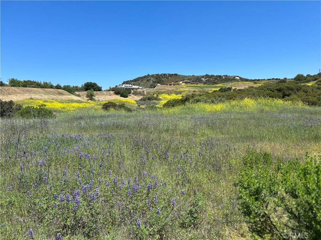 24201 Mulholland Highway - Photo 1