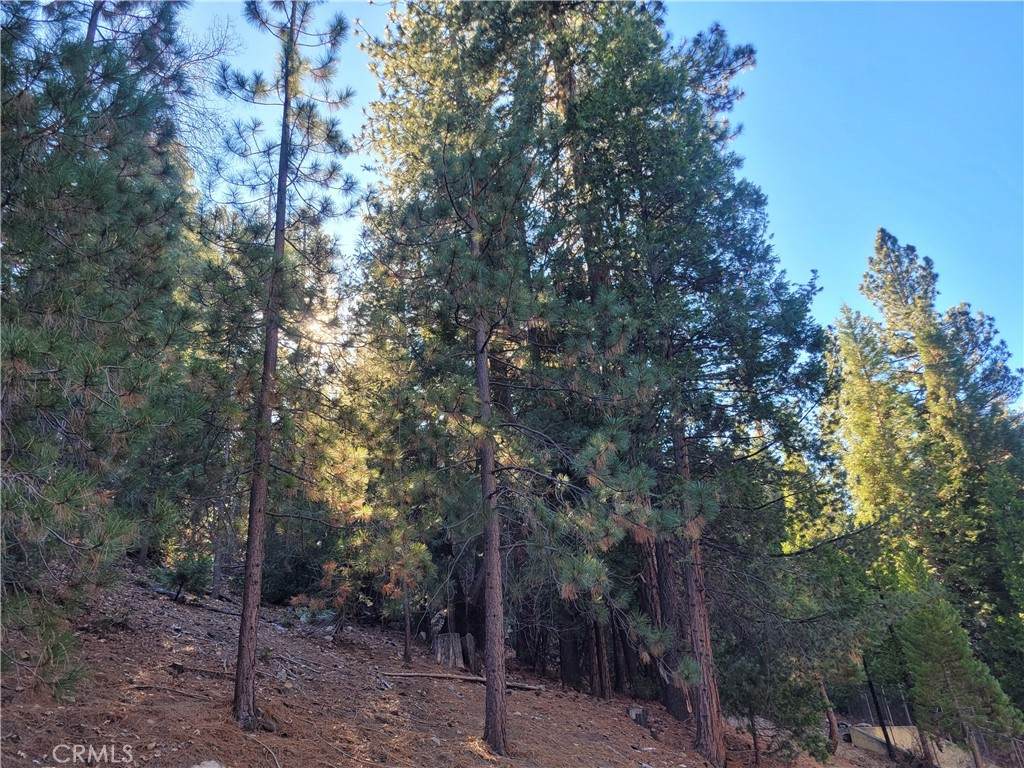 0 Brentwood Drive - Photo 1