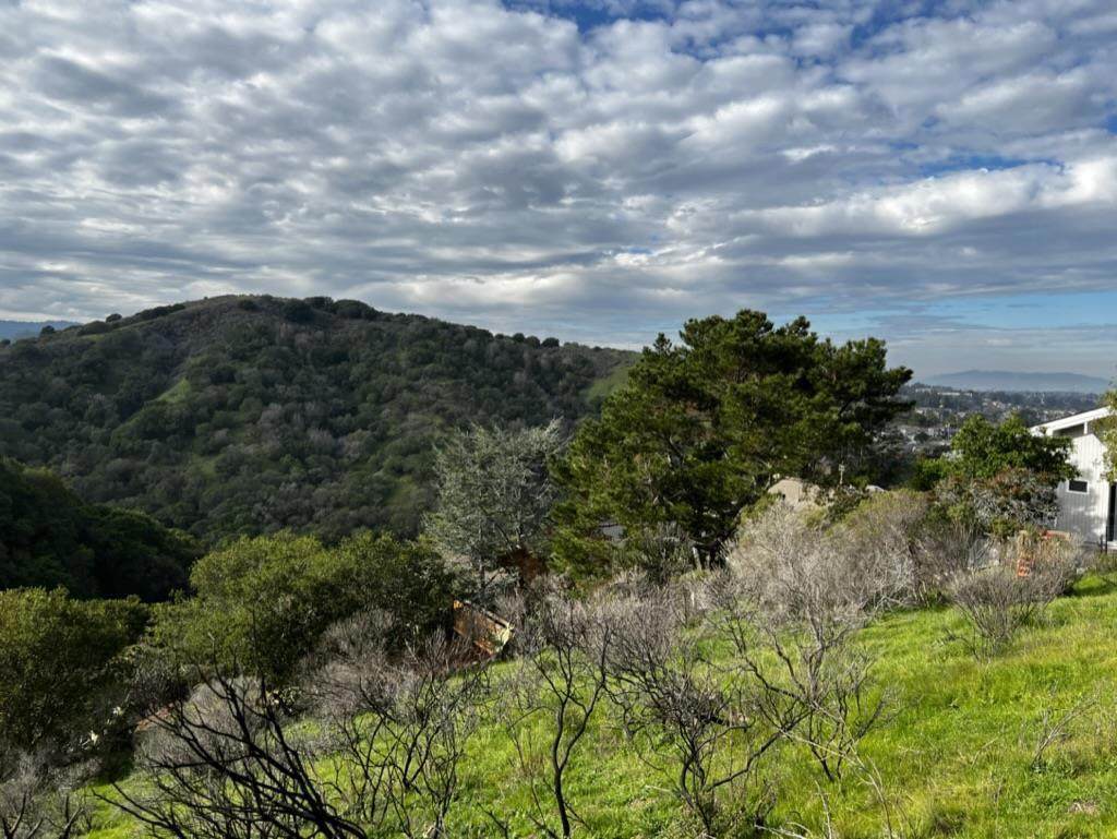 0 Alhambra Drive - Photo 1