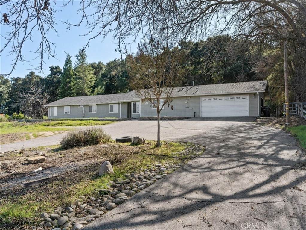 4419 Del Rio Road - Photo 1