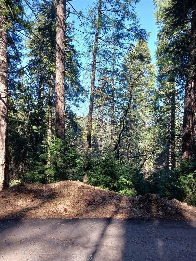 35 Spring Drive - Photo 1