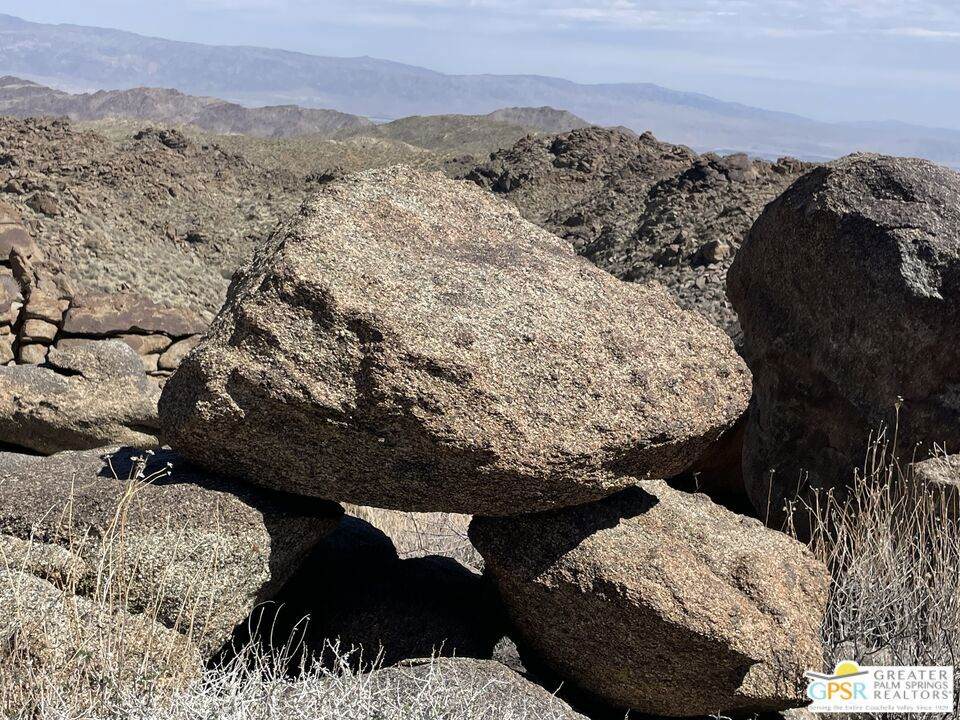 0 Desert Calico - Photo 1