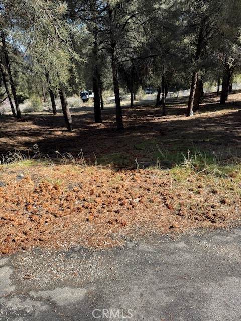 14700 Pinehurst Drive - Photo 1