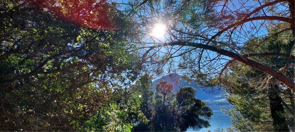 2891 San Joaquin Avenue - Photo 1