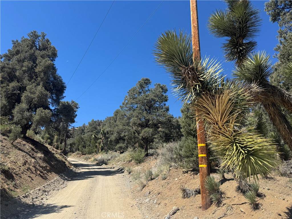 41112 Jack Rabbit Road - Photo 1