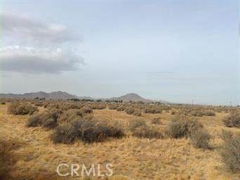 0 Isatis Road - Photo 1