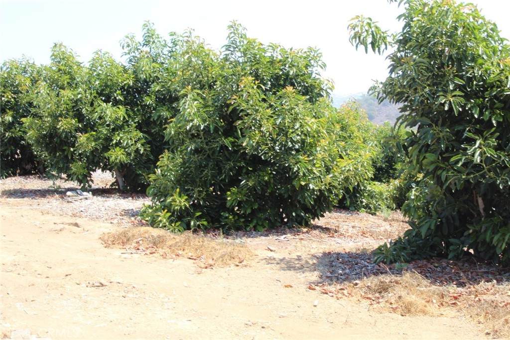 4 Via Vaquero Road - Photo 1