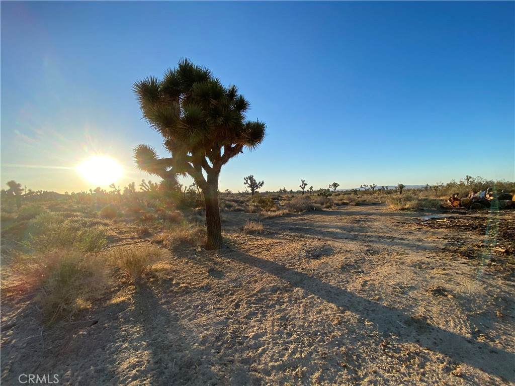 https://bt-photos.global.ssl.fastly.net/socal/orig_boomver_2_374315582-2.jpg