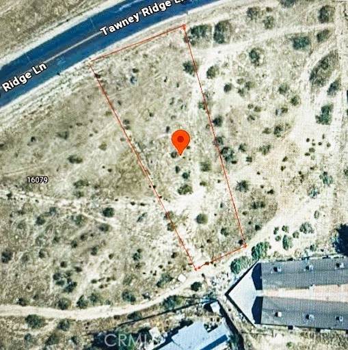 16098 Tawney Ridge Lane - Photo 1