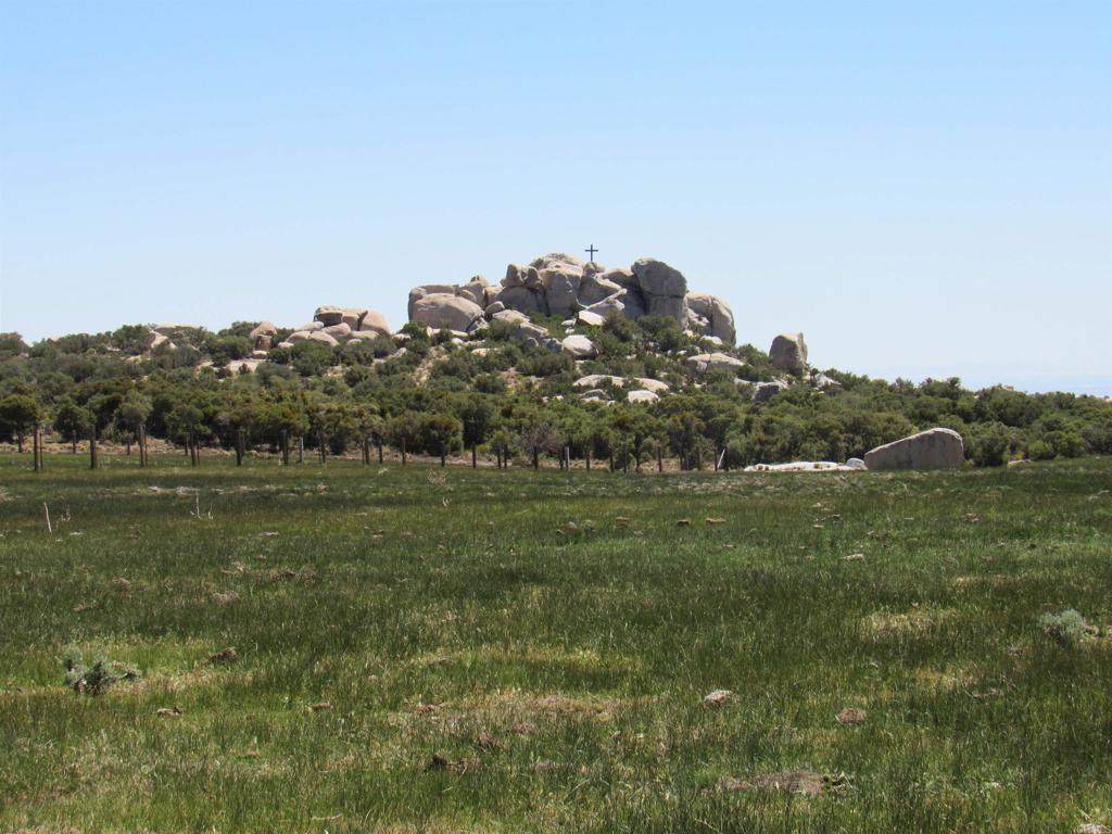 200 Acres Mccain Valley Rd - Photo 1