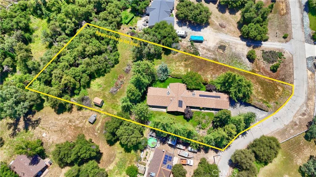42177 Lone Olive Lane - Photo 1