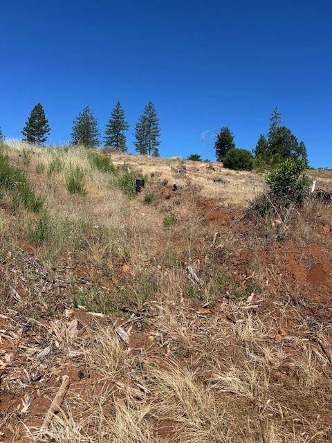 0 Hillpark Lane - Photo 1