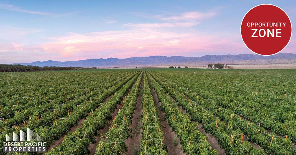 93751 71st Ave - Photo 1