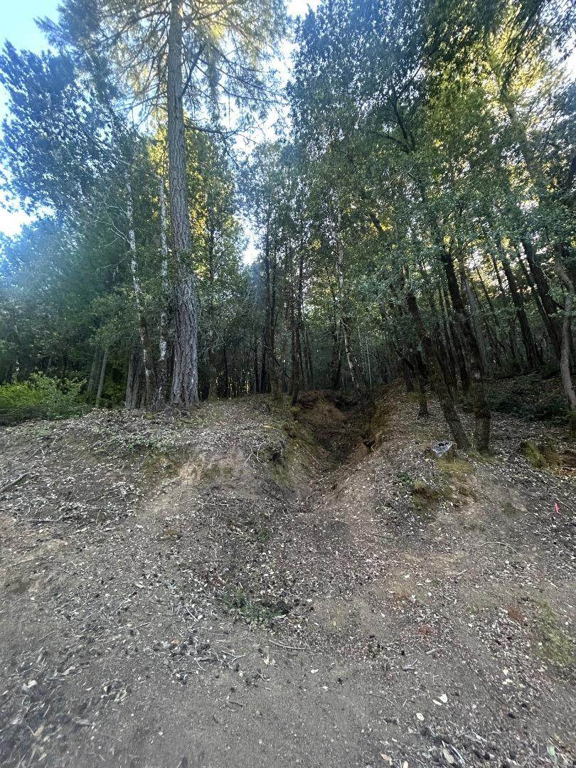 24858 Clover Road - Photo 1
