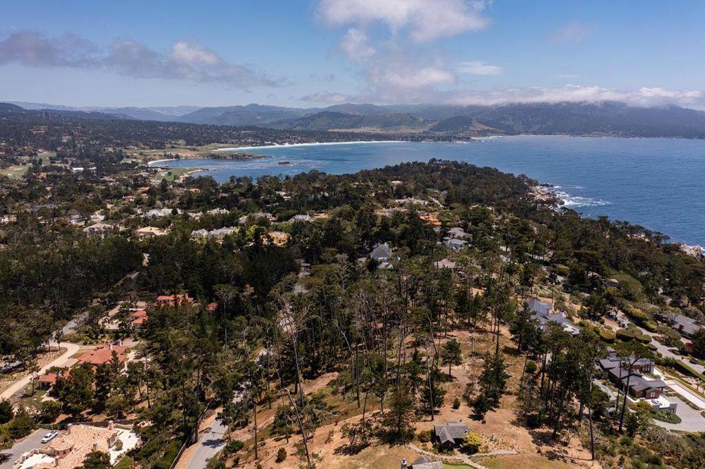 1272 Portola Road - Photo 1