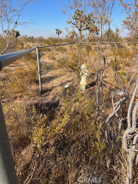 5202 La Mesa Road - Photo 1